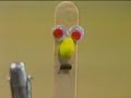Stick Stickly 1995