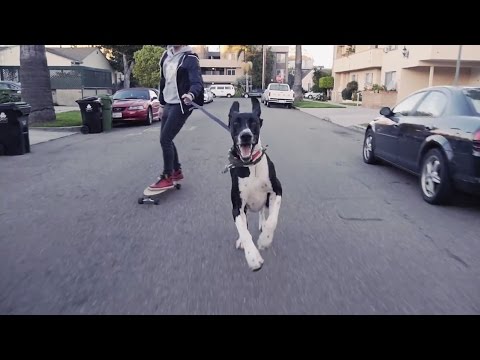 Video thumbnail for Hold Me Down
