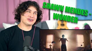 Vocal Coach Reacts to Shawn Mendes - Wonder