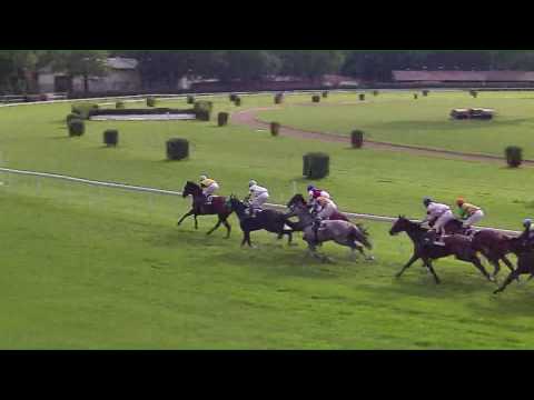 BA 21.5.2017 - Dostihy 6 - Memoriál Jozefa Mandelíka