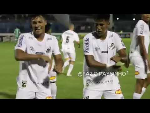 PASSINHO DO SANTOS DO DINIZ | FAZ O PASSINHO®