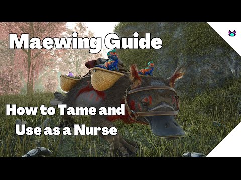 Maewing Guide - How to Tame and Use As a Baby Nurse - Ark Survival Evolved.