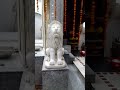 PAN INDIA144 APNA UP3440 GRACE OF BABA UP6 Sai Ashraya Mandir Indira Nagar SHAYAN ARTI BHOG