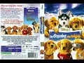 Debut Et Fin De Disney S Les Copains Des Neiges Film 2008 DVD UK