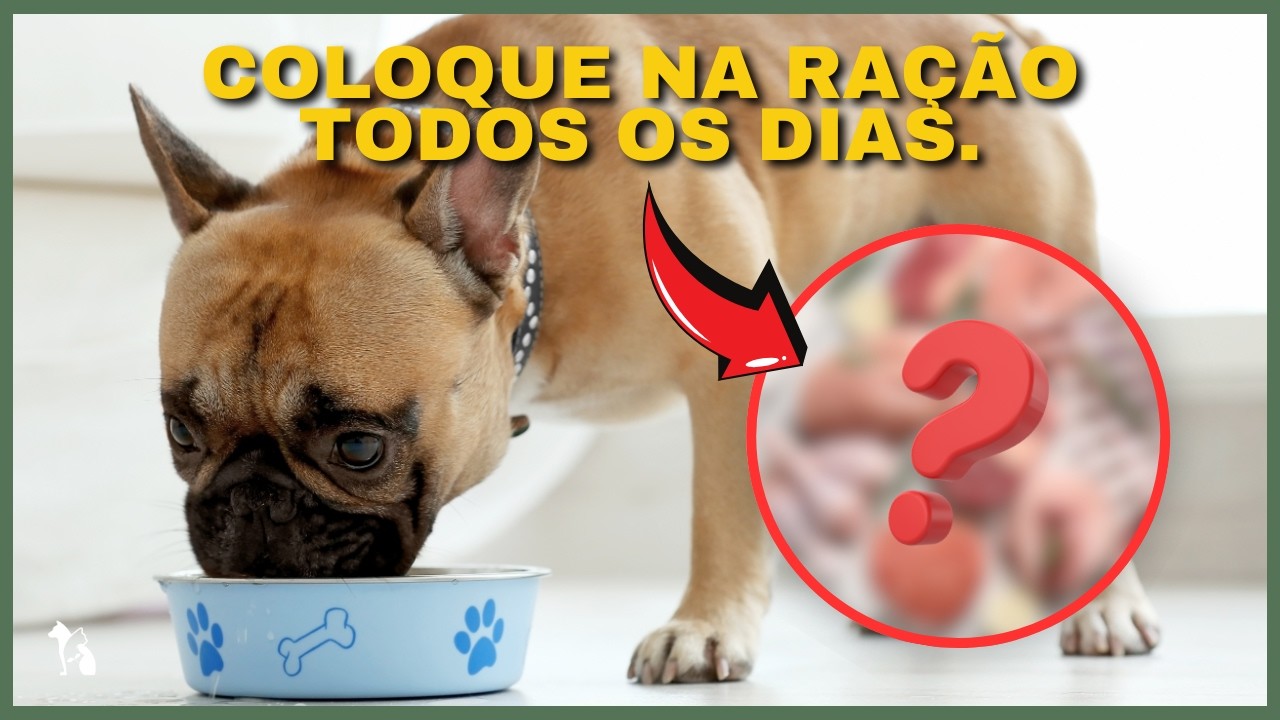 USE These WONDERFUL Foods! Add Them Every Day to Your Dog's Food and Cat's Food.