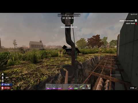 Dire Wolf Pack Attack!