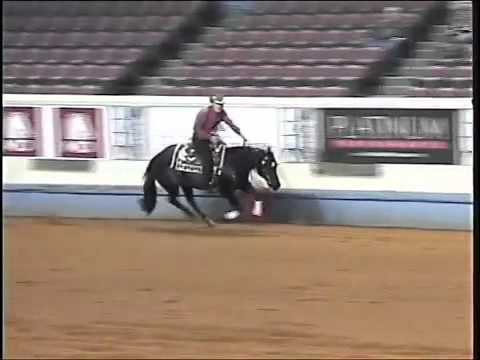 Andrea Fappani- Nics Little Bud