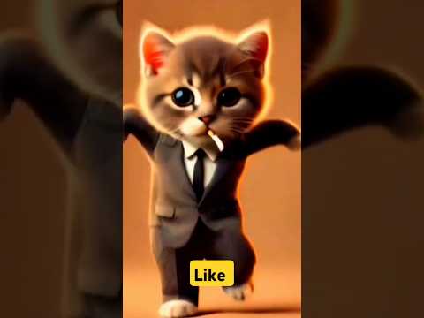 Crazy dancing cute cat 🤠 | #funnycat #funnydance #catvideos #funnyanimal #shortfeed