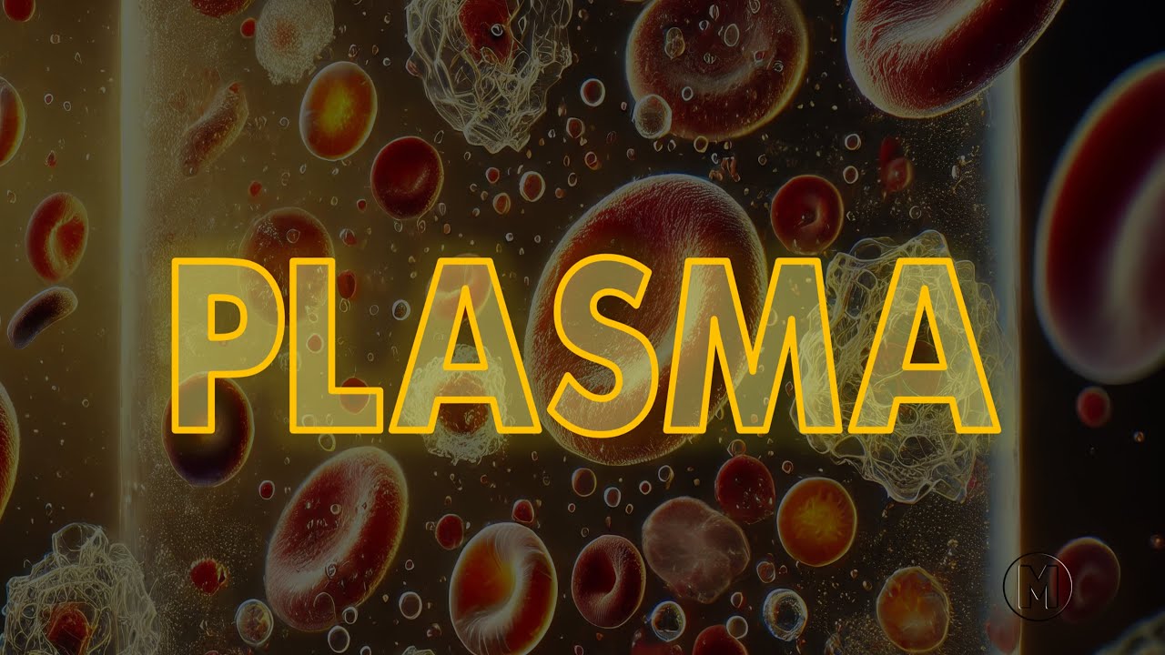 Plasma Sanguíneo: Conceito, Função e Composição