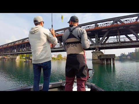 GROSSE Emozioni al Lago Maggiore! Pesca al Luccio dalla Barca a Spinning in un Contesto MOZZAFIATO!
