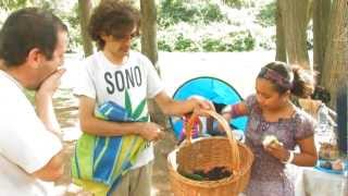 Anteprima video YouTube