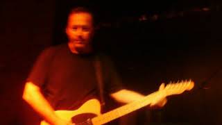 Smithereens &#39;Cut Flowers&quot;