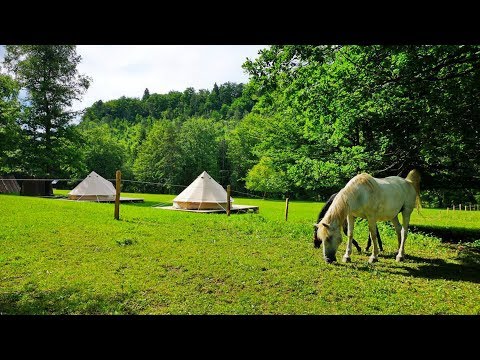ECO River Camp  - Radovljica