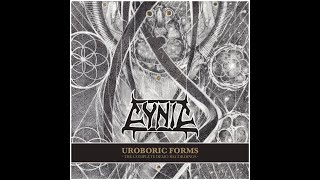 CYNIC   Reflection Of A Dying World