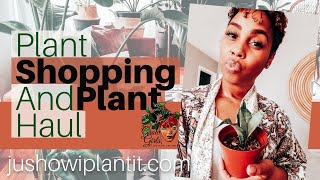 Houseplant Shopping and Houseplant Haul; Random Shopping For Houseplants & Plants I've Bought