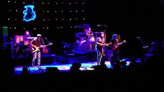 Red Wanting Blue - Walking Shoes - New Years 2019