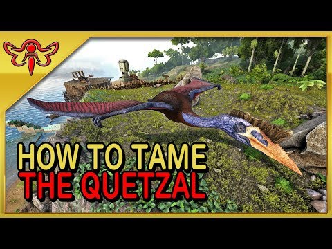 ARK: Survival Evolved Tutorial - How to Solo Tame the Quetzal