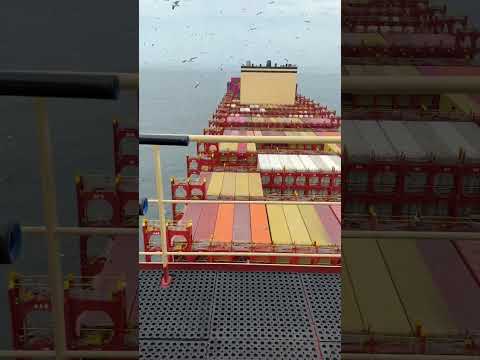 Кого я встретил в тихом океане#shorts #story