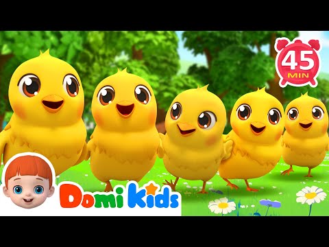Count Numbers With Five Little Chicks | Nursery Rhymes & Kids Songs - Domi Kids