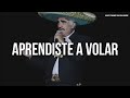 Vicente Fernandez - Aprendiste A Volar (Letra/Lyrics)
