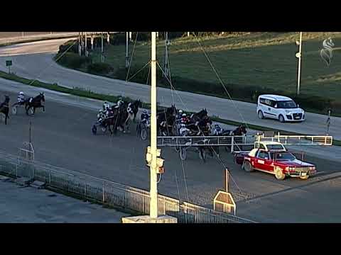 Aversa trotto 2 Febbraio 2022 - 5° Corsa