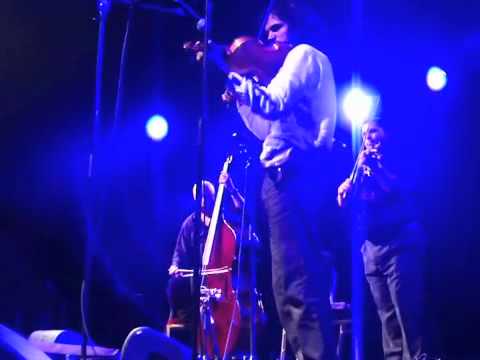 Tcha Limberger's Kalotaszeg Trio