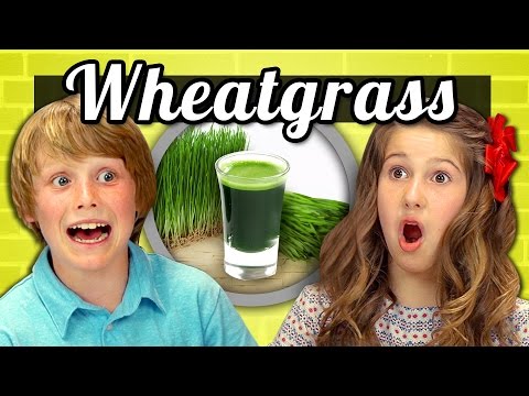 KIDS vs. FOOD #11 - WHEATGRASS SHOTS (KIDS vs. FOOD #11 - WHEATGRASS SHOTS)
