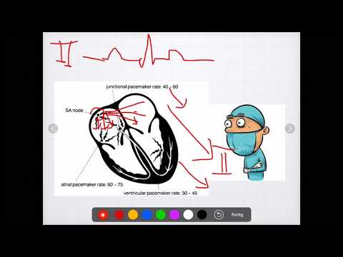 Hypertonischen Bäder Zähne Hypertonische Natriumchloridlösung Erythrozyten