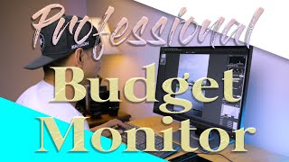 Video thumbnail for Professional Budget Monitor (Asus Pro Art 248QV) by Jhune Lhen