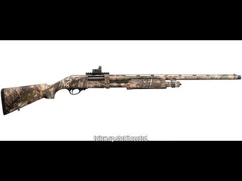 Charles Daly Shotgun