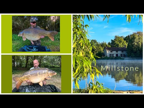 Millstone carp lake - French carp Fishing - 🇫🇷