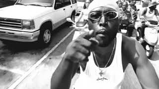 Black Rob & G. Dep & Mark Curry & Petey Pablo & Puerto Rock - Alumni (2000)