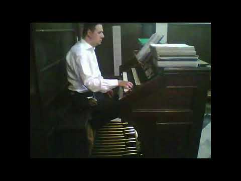 Emil Sjögren (1853-1918) - Andantino con anima Op. 46 n. 3