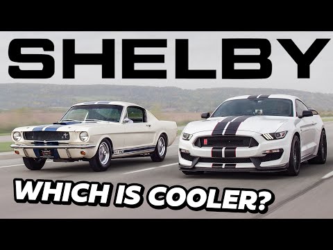 $100K Mustang Shelby GT350R vs $500K Mustang Shelby GT350