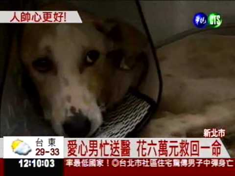 狗遭虐下巴斷3截 愛心男救命