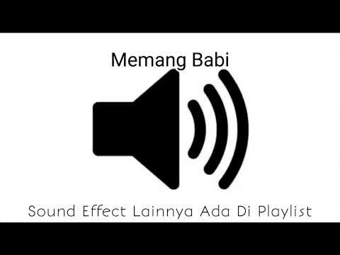 Sound Effect Memang Babi