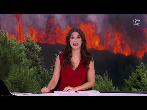 Zapping verano 2nde 2026