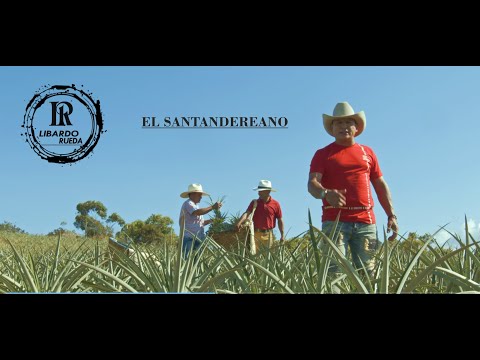 LIBARDO RUEDA / EL SANTANDEREANO (Video Oficial)