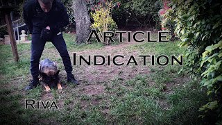 Article Search Training - Article Indication - Riva - German Shepherd