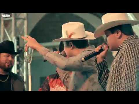 EL CACHORRO ANIMAL. Roberto Tapia