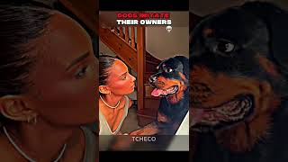Dogs Imitate Their Owners ☠️😂