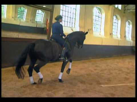 Egon von Neindorff - by Roland Blum