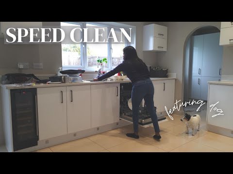 speed clean.. featuring dog 🐶