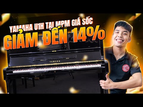 Yamaha YU3 - Trị giá 100 triệu
