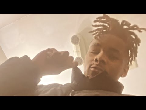 GZoO - “Zoo Story”