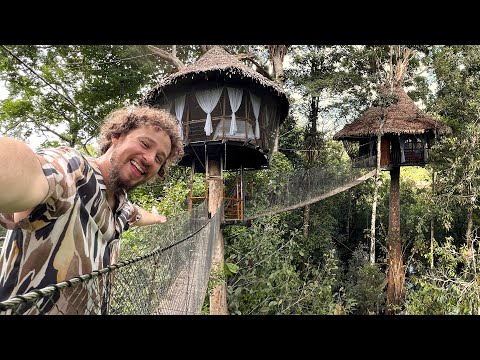 This hotel is built on TREES | Tree Lodge Amazonas