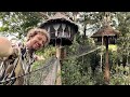This Hotel Is Built On TREES Tree Lodge Amazonas