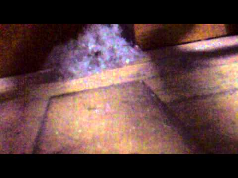 Aspirados Assassino.mp4