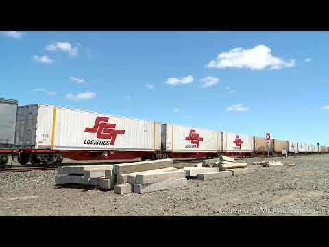 1PM9 SCT Mixed Freight & Steel Train (11/1/2024) - PoathTV Australian Railway