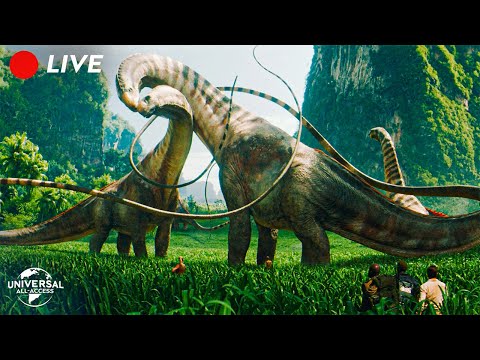 🔴 LIVE The Best Scenes of 2025 Livestream | Universal Pictures At Home